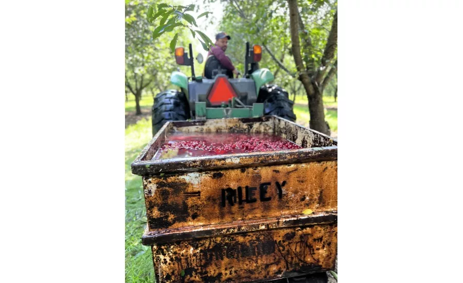 Puratos USA introduces Field to Fork Fruit Experience