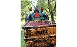 Puratos USA introduces Field to Fork Fruit Experience