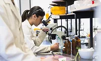 ADM, Brightseed partnership aims at decoding microbiome, bioactives ADM, Brightseed partnership aims at decoding microbiome, bioactives