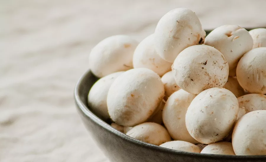 Whole Foods adds mushroom-derived fiber to approved-ingredient list