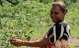 IFT heralds 2024 Global Food System Challenge winners