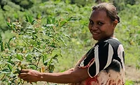 IFT heralds 2024 Global Food System Challenge winners