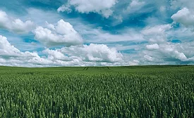 IFT announces Seeding the Future Global Food System Challenge finalists