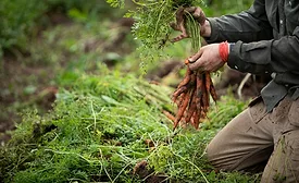 Kellogg, Meijer partner to invest in young Midwest farmers