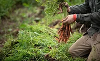Kellogg, Meijer partner to invest in young Midwest farmers Kellogg, Meijer partner to invest in young Midwest farmers