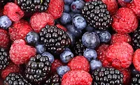 Kerr by Ingredion to highlight organic fruit and veg solutions at IFT FIRST Kerr by Ingredion to highlight organic fruit and veg solutions at IFT FIRST