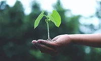Mondelēz International releases Snacking Made Right ESG report Mondelēz International releases Snacking Made Right ESG report