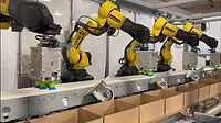 Robotics are gaining popularity in snack and bakery applications Robotics are gaining popularity in snack and bakery applications