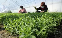 Tate & Lyle lands Prime ESG corporate rating from sustainability agency Tate & Lyle lands Prime ESG corporate rating from sustainability agency