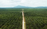 Cargill refineries to offer 100% RSPO-certified palm oil Cargill refineries to offer 100% RSPO-certified palm oil