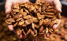 Pecans pack in year-round snack appeal for consumers