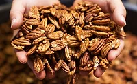 Pecans pack in year-round snack appeal for consumers Pecans pack in year-round snack appeal for consumers