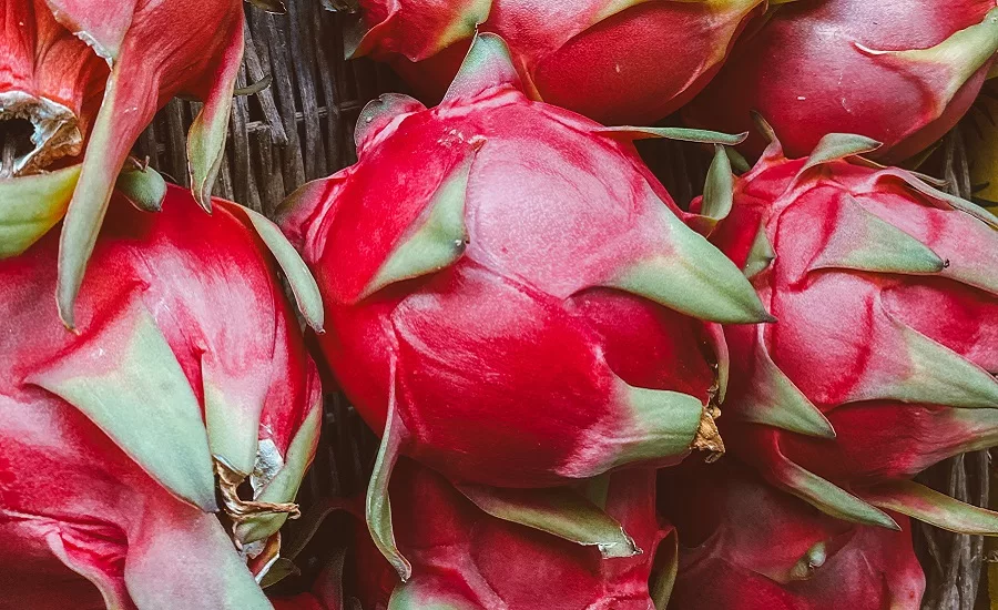 Chaucer Foods: consumers seeking ‘unique and uncommon’ flavors