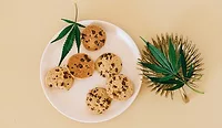 Riding the ‘green wave’: unwrapping trends in cannabis edibles Riding the ‘green wave’: unwrapping trends in cannabis edibles