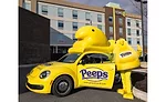 Peeps invites fans to stay in first-ever 'Peeps Sweet Suite'