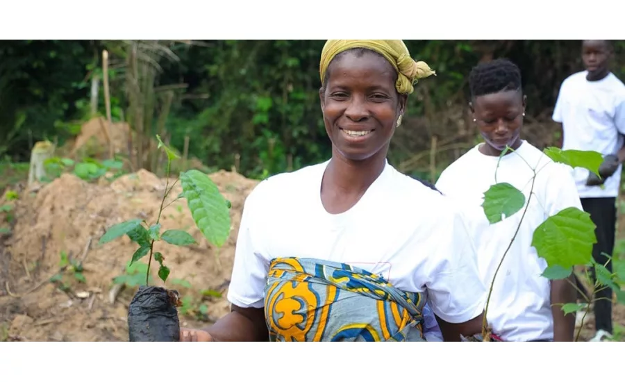 Nestlé collaborates with suppliers to help address climate change impact in cocoa