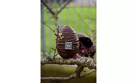 Cocoa SOS: innovation comes to aid of supply chain