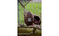 Cocoa SOS: innovation comes to aid of supply chain Cocoa SOS: innovation comes to aid of supply chain