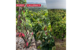 Barry Callebaut debuts Future Farming Initiative