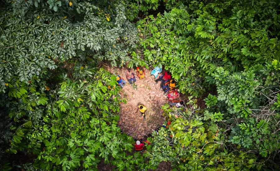 ofi publishes Cocoa Compass sustainability impact report