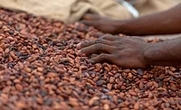 Why transparency in the supply chain matters 