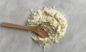 Leprino Foods, Fooditive Group commercialize non-animal casein