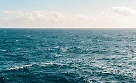Endangered Species Chocolate goes ocean plastic neutral