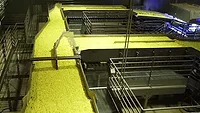 High-capacity vibratory conveyors from Key Technology High-capacity vibratory conveyors from Key Technology