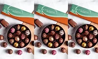 Rocky Mountain Chocolate Factory chocolate mints Rocky Mountain Chocolate Factory chocolate mints