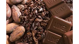 Luker Chocolate to highlight sustainability at COP16