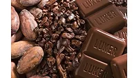 Luker Chocolate to highlight sustainability at COP16 Luker Chocolate to highlight sustainability at COP16