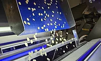 Key Technology debuts optical sorters for nuts Key Technology debuts optical sorters for nuts