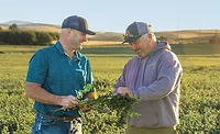 Ardent Mills' releases FY24 ESG report Ardent Mills' releases FY24 ESG report