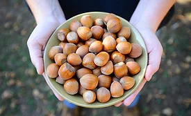 Ferrero invests in U.S. hazelnut farming