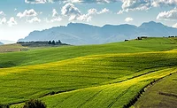 Beneo, Puratos join with beet sugar producer on climate project Beneo, Puratos join with beet sugar producer on climate project