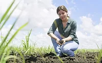 Florida Crystals harnesses regenerative agriculture