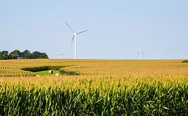 Mars out to ‘push the boundaries’ in supply chain sustainability