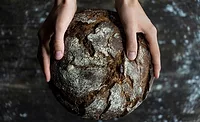 Know your yeast: the ins and outs of the important bakery ingredient