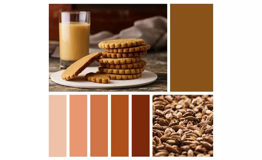 Oterra debuts its 2025 Color Trends