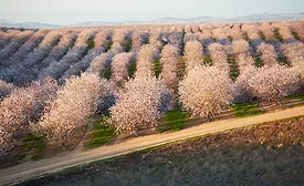 Almond Board of California searches for board personnel