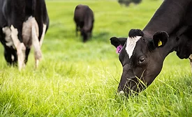 Mars pledges to empower dairy farmers to reduce on-farm emissions