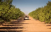 Sustainability of nut supply chain important to snackers: ofi Sustainability of nut supply chain important to snackers: ofi