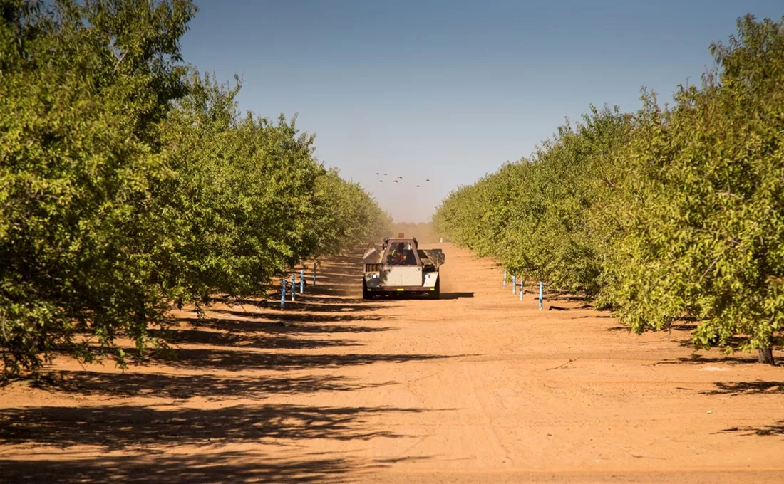 Sustainability of nut supply chain important to snackers: ofi