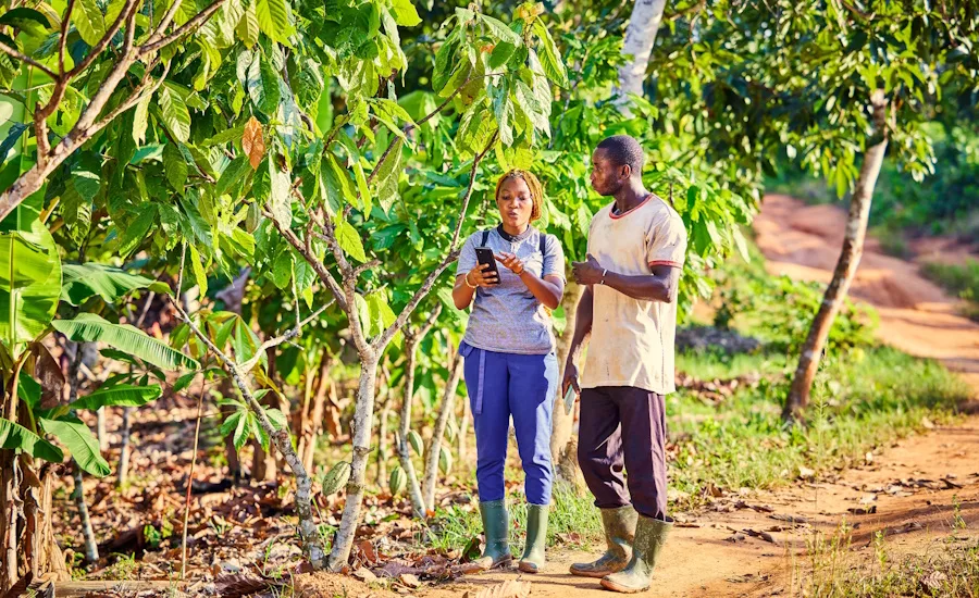 ofi achieves Carbon Trust verification