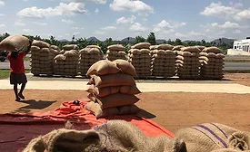 Cocoa in short supply: Cocoa Radar