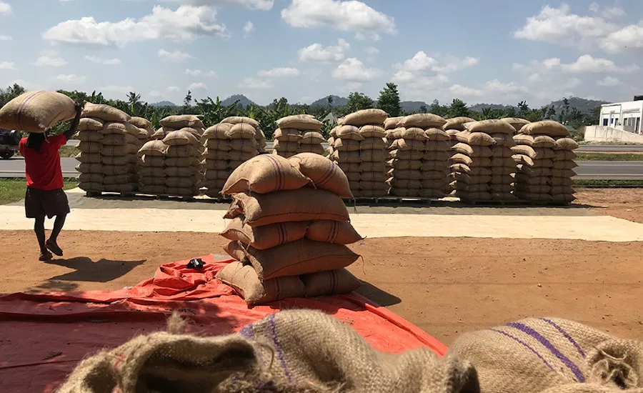 Cocoa in short supply: Cocoa Radar