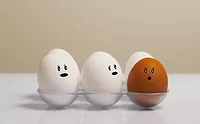 Bird flu epidemic takes its toll on supply chain: American Egg Board Bird flu epidemic takes its toll on supply chain: American Egg Board