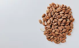 Consumer insights uncover future food trends: Nextin Research