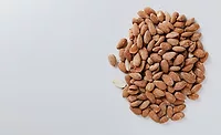 Consumer insights uncover future food trends: Nextin Research Consumer insights uncover future food trends: Nextin Research