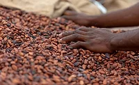 Navigating a climate conscious world: Cargill Navigating a climate conscious world: Cargill